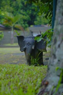 Sahachara Ayurveda Yoga Ecoliving - 1