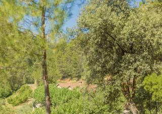 Casas rurales Batan Rio Tus - 8