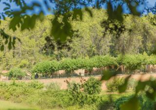 Casas rurales Batan Rio Tus - 1