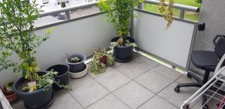 2 Zimmer Wohnung - Cologne - 3