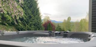 Mountain View Estate Forest Hot Tub Full Arcade - 7