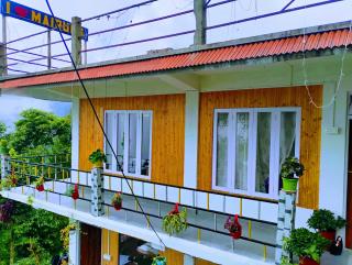 The Pines' Heaven - 0