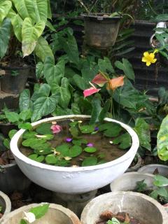 Mithun Homestay Ella - Ella - 2