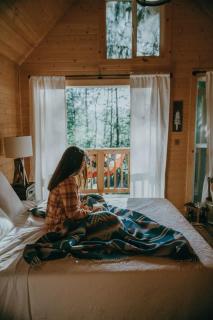 Treehouse Place at Deer Ridge Ole Mill - Snohomish - 7