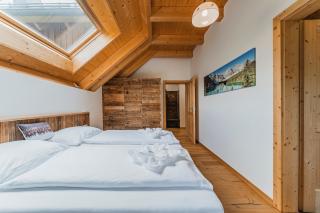 Penthouse Weiglhof - Russbach am Pass Gschütt - 3