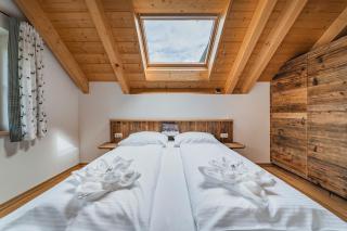 Penthouse Weiglhof - Russbach am Pass Gschütt - 4