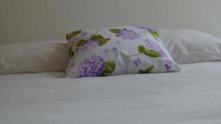 Watching Azores Apartment - Ponta Delgada - 5
