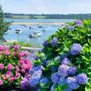 Wequassett Resort and Golf Club - East Harwich - 7
