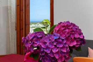 Prenda Home Holiday - 4