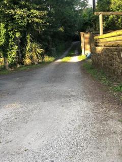 Fitzys Apartment Wellness Retreat - 6