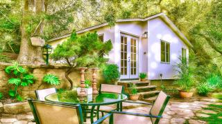 Enchanting Private Hollywood Hills Guest House with Tranquil Tree-Top Views, Magical Outdoor Living Room and Patio and Zen Garden, In LA's Most Desirable, Central, Serene Area and Only 2 Minutes from Hollywood Boulevard - 4