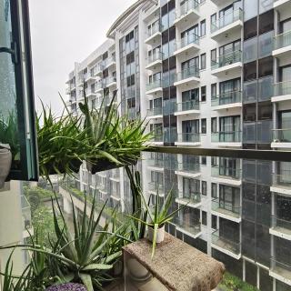 LDN 6E -Two Palm Tree - 6