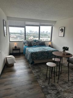 Cozy Studio - Houston - 5
