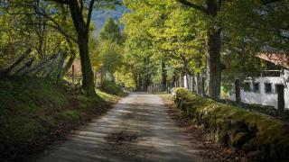 Arantza Hotela - Boutique Hotel "Adults Only" - 4