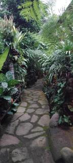 Umah mimpi deluxe room - Tampaksiring - 1