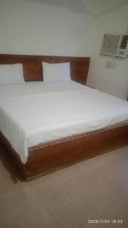 Ladli palace guest house - - 5