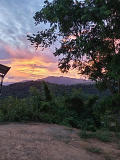 Nature Dreams Homestay & Restaurant - - 6