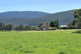 Vista Apartment 2 - Yarra Junction - 9