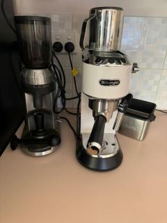 Sandy Paws and Salty Air - 8