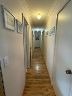 Sandy Paws and Salty Air - 3