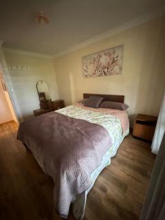 Sandy Paws and Salty Air - 2