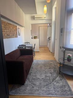Savoya Flat in the City Center - Timişoara - 9