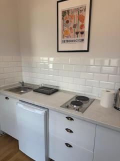 Savoya Flat in the City Center - Timişoara - 8