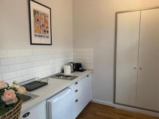 Savoya Flat in the City Center - Timişoara - 7