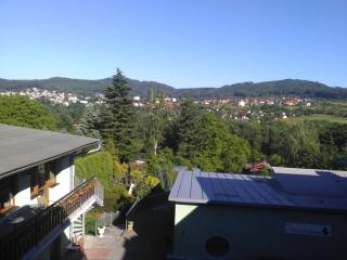 Pension Lukas - Karlsbad - 8