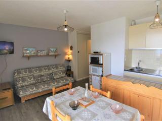 studio cabine 25 m² orienté EST - FR-1-594-159 - Hauteluce - 0