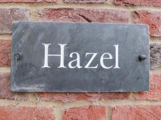 Hazel - Newbury - 8