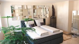 Mandaroza Apartment Freiburg - 1