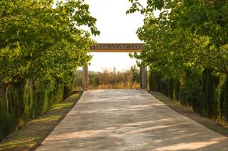 Casa Saladarejo de los Olivos - Almansa - 8