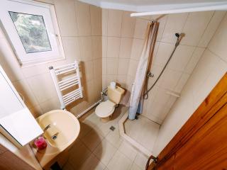Casa din Zori - Muntele Băişorii - 2