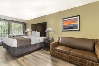 Best Western Asheville-Blue Ridge Parkway - 8