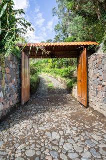 Spacious Quinta with green areas - 4
