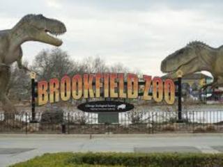 Sleeps 10 + Coffee bar + Game Room + Train to CHGO - Brookfield - 5
