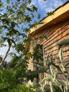 Couple's Wood Cabin in Naivasha - Elwai Visitor Centre - 0