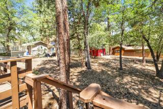 Bear Forest Cabin #2553 - 4