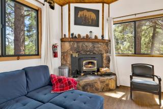 Bear Forest Cabin #2553 - 5