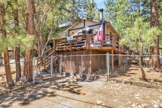 Bear Forest Cabin #2553 - 0