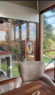 La Araucaria - 5