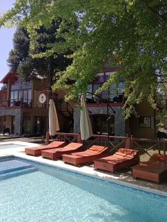 La Araucaria - 2