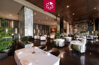 Grand Velas Riviera Maya - All Inclusive - Playa del Carmen - 9