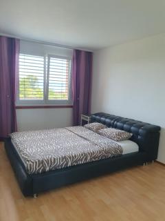 Lake view apartment - Hauterive - 1