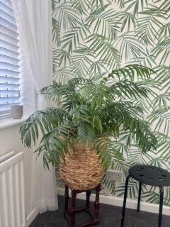 The Ivy Nook - Hartlepool - 2