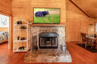 Secluded, Hot Tub & Black Bears, 10 Min fr DT GAT - 1