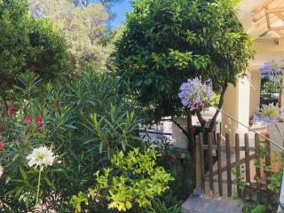 T2 en Rez-de-jardin Fleur de Sel - 9