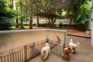 LINDA VISTA c piscina, sauna, garagem e academia - São Paulo - 9