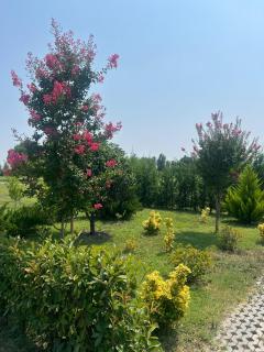 Villa, Kachreti Ambassador Golf Resort - Kachretʼi - 8